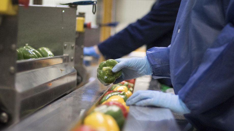 Scherpenhuizen Eindhoven afbeelding 2 Scherpenhuizen Eindhoven afbeelding 2